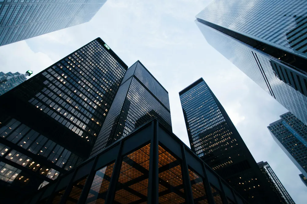 Business Consulting Services in Sri Lanka |